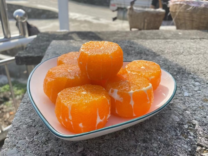 湖北秭归精品脐橙，纽荷尔脐橙纯甜化渣果园看货物美价廉