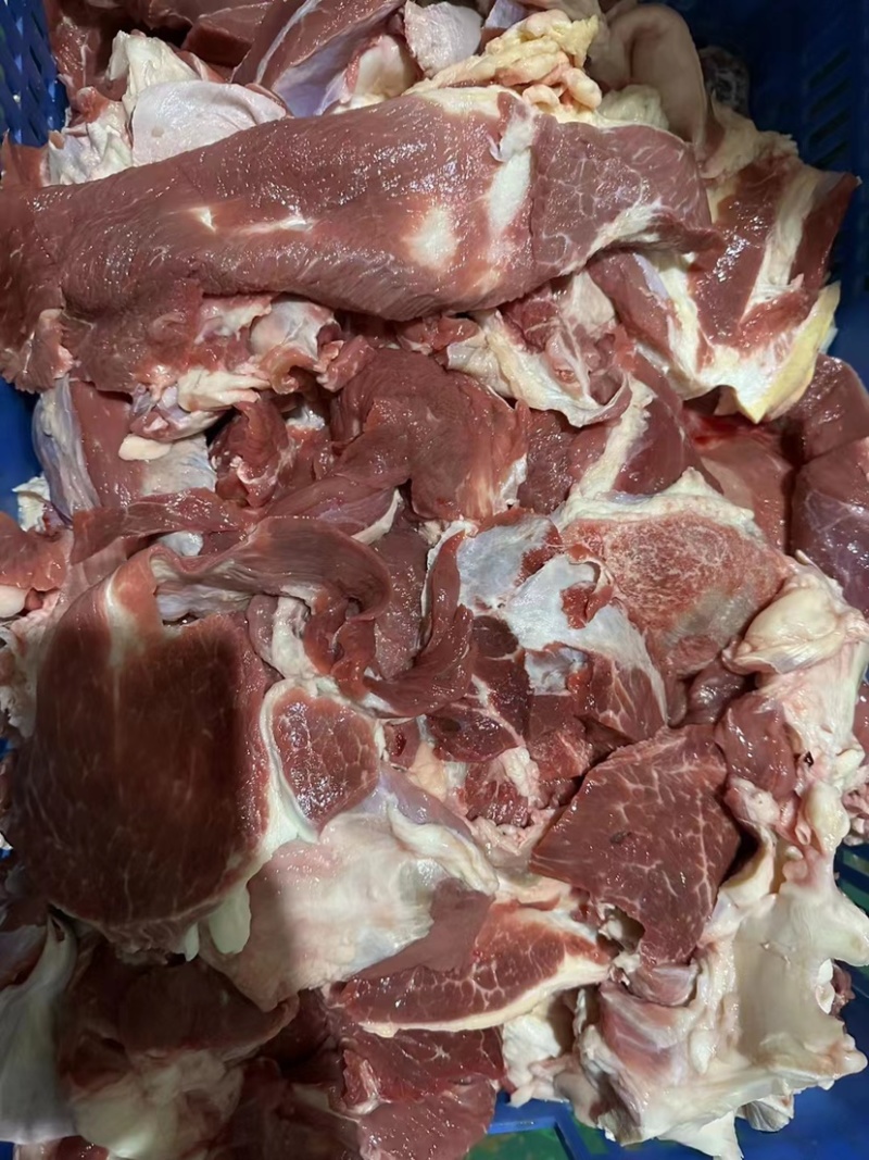 牛肉筋