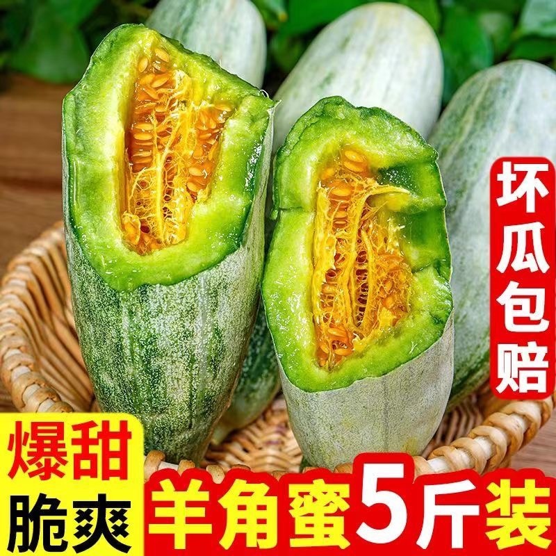 【精品】山东羊角蜜博洋61号甜瓜脆甜多汁可对接各大平台