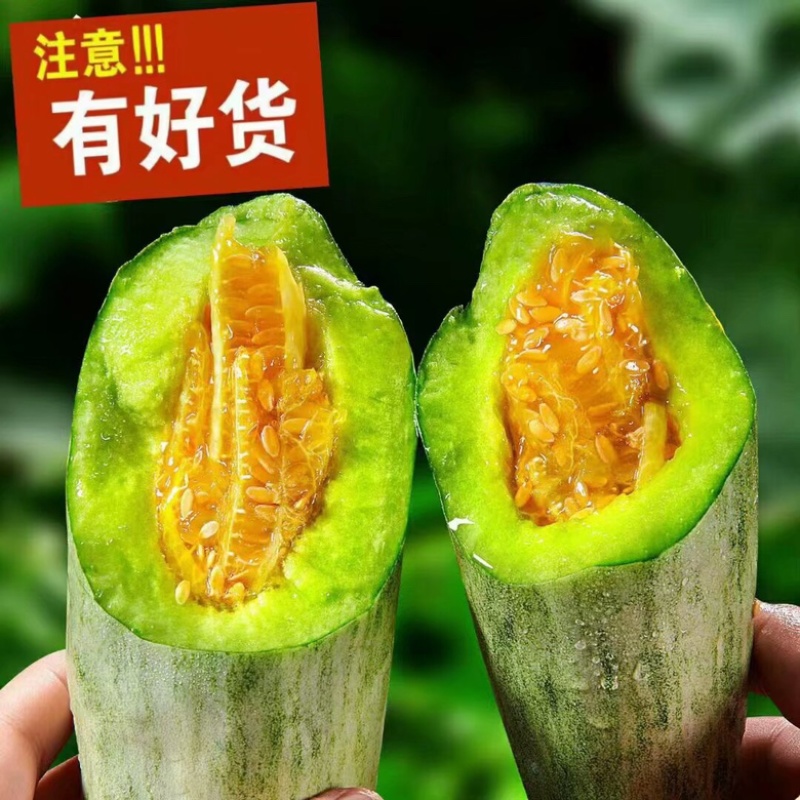 【实力供应】山东头茬羊角蜜对接团购甜瓜一件代发全国发货