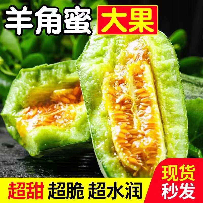 【实力供应】山东头茬羊角蜜对接团购甜瓜一件代发全国发货