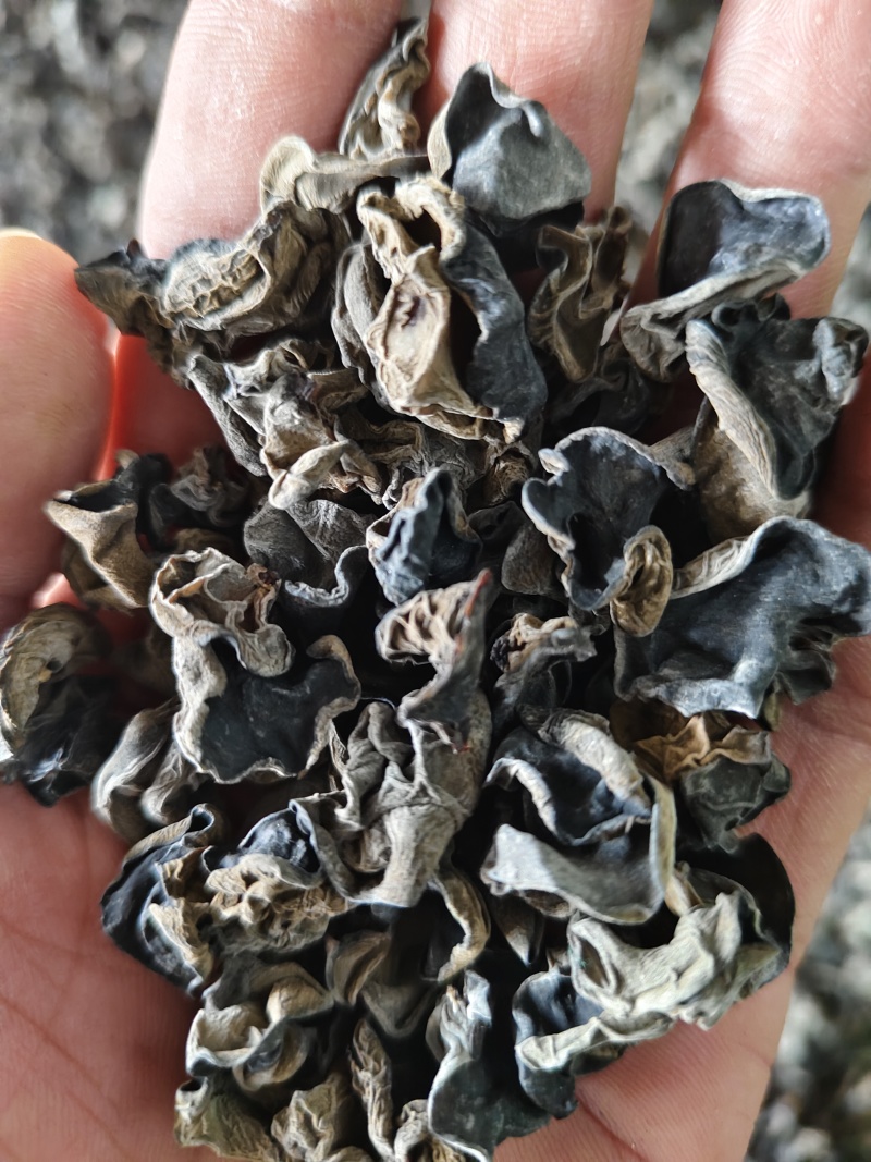 黑龙江东宁黑木耳大地黑木耳1.5黑厚原干