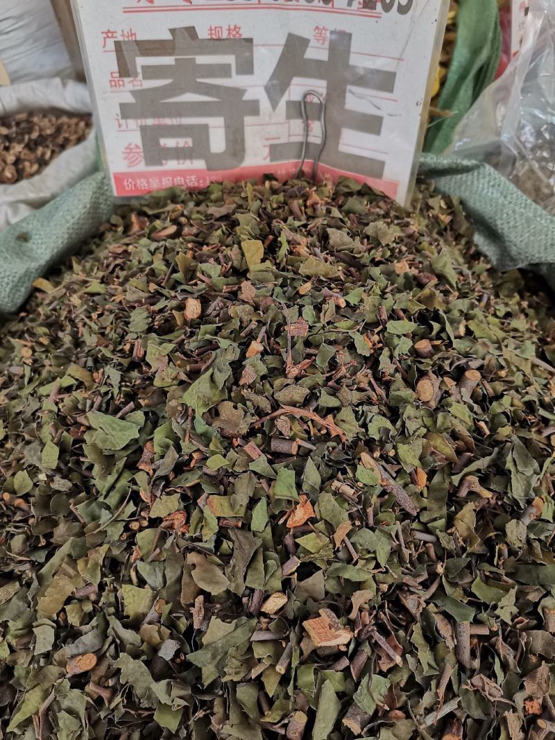 茶树寄生，货原充足，一件代发，欢迎来电咨询下单