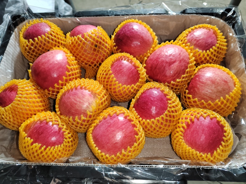 辽宁精品寒富苹果