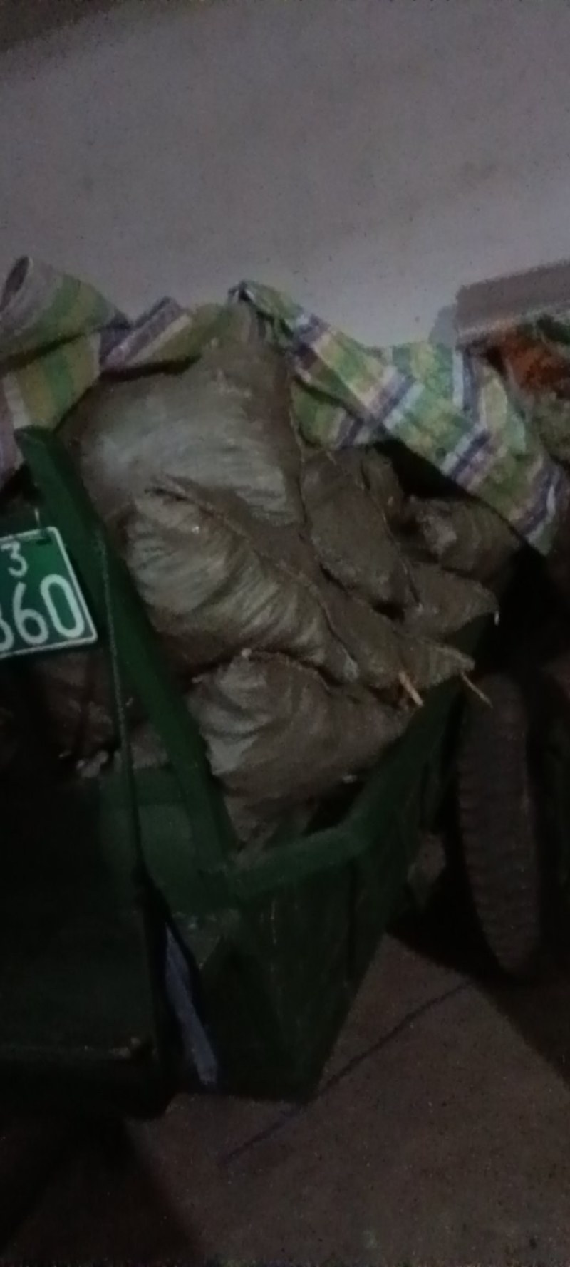 辣根