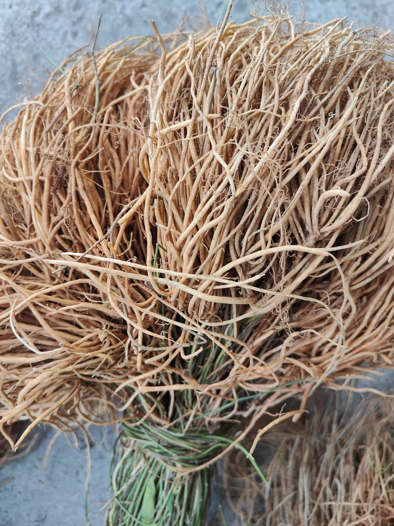 云南满山香鲜货