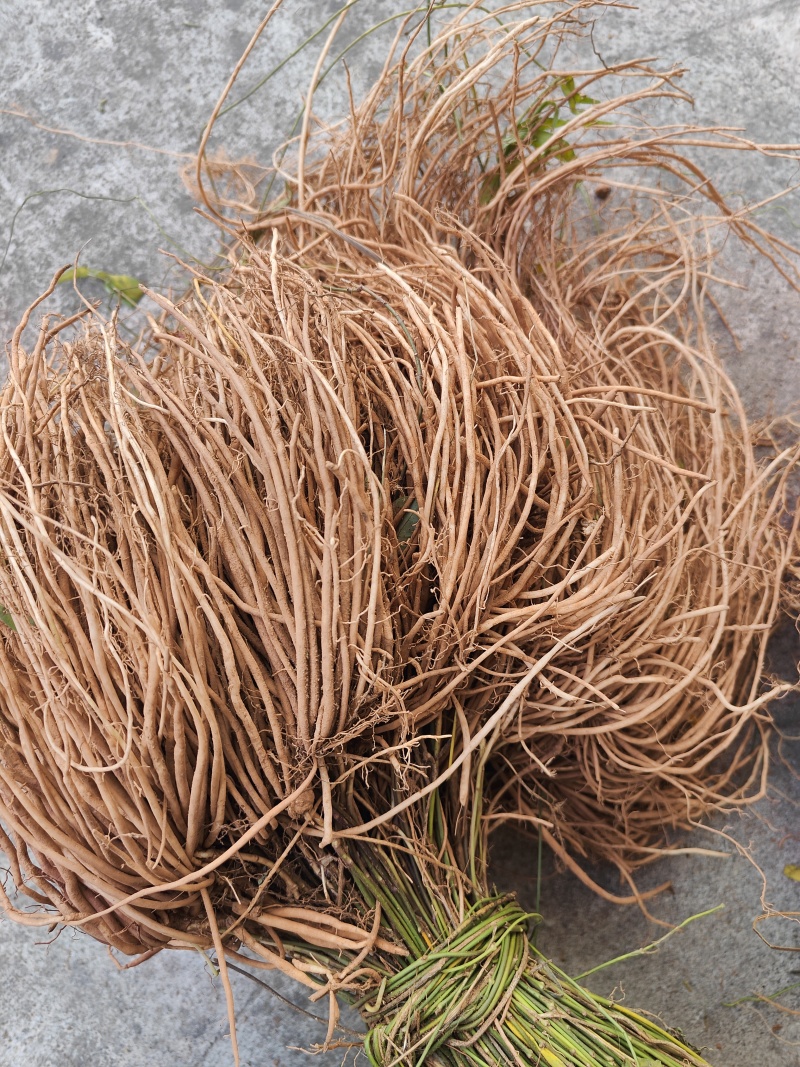 云南满山香鲜货