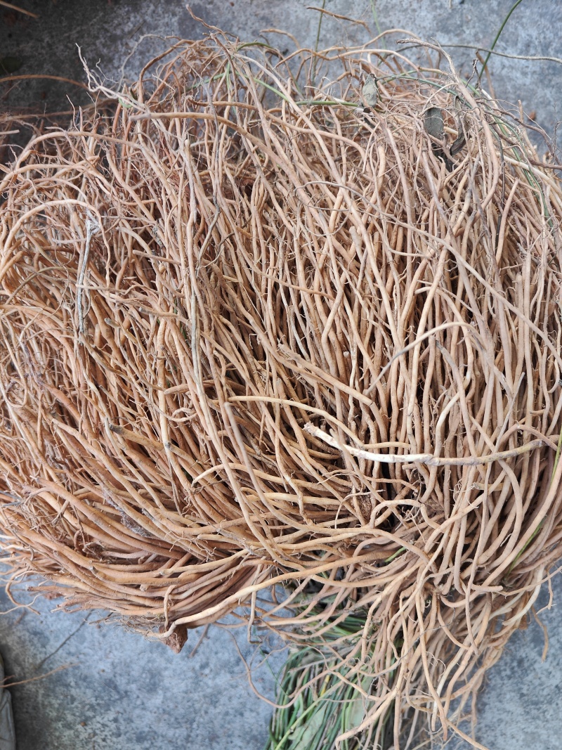 云南满山香鲜货