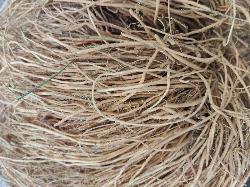 云南满山香鲜货