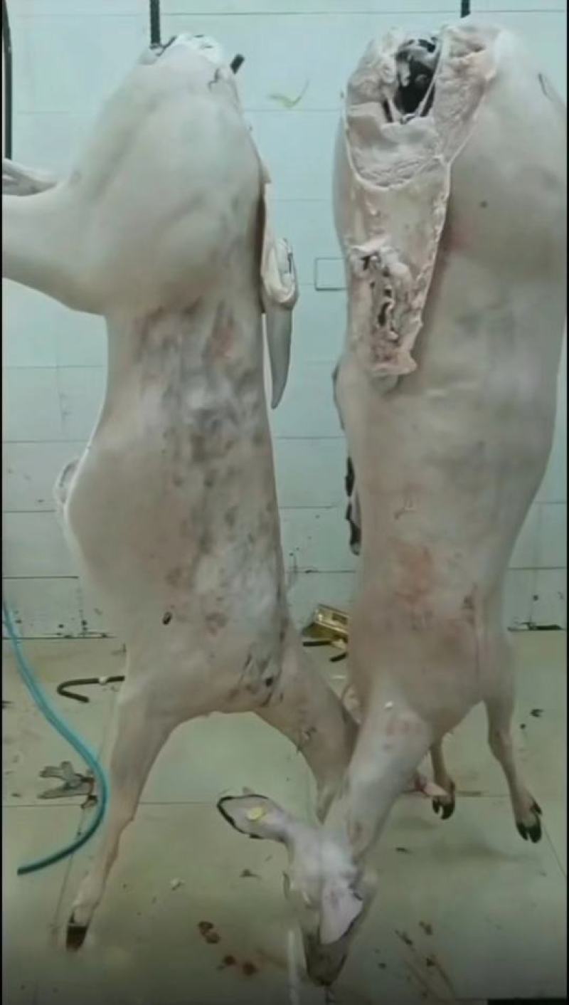 鹿肉