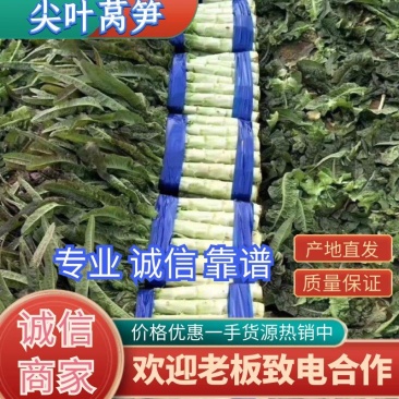 精品莴笋