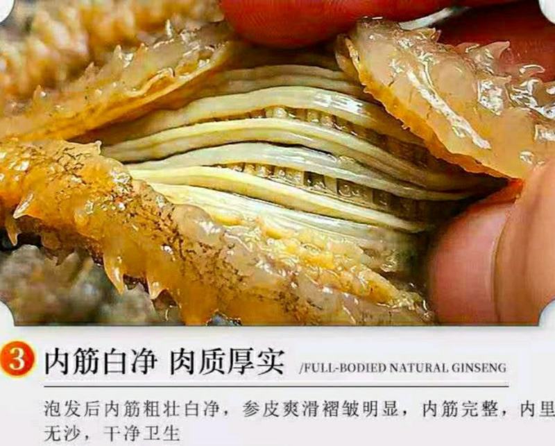 淡干海参小黑刺参干货泡发率高滋补营养美味包邮