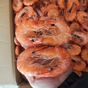 滨州冰鲜冻盘对虾，品质保证，现货批发欢迎采购