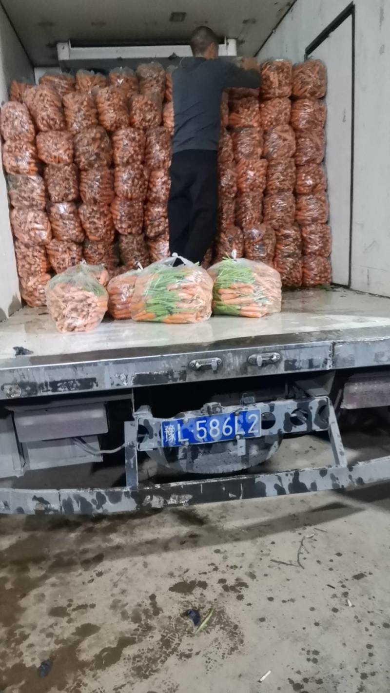 胡萝卜湖北省当阳市水果胡萝卜条型好胡萝卜脆嫩甜