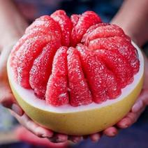 湖南精品红心柚大量上市，新鲜保质，果肉饱满，欢迎来电
