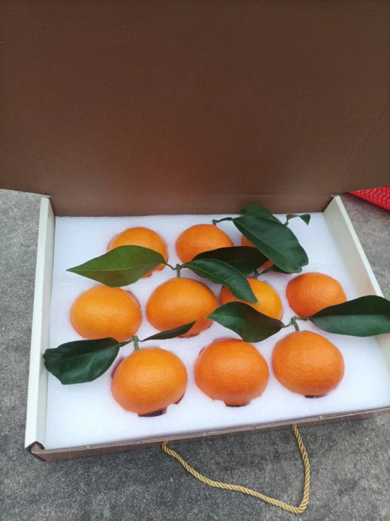 象山红美人礼盒装自家果园现摘现卖快递包邮