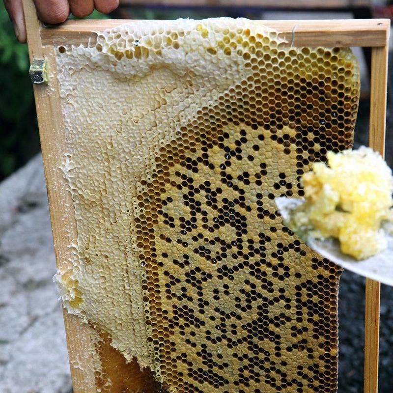 张家界大山意蜂蜜，营养丰富，自家养殖蜜蜂，欢迎采购