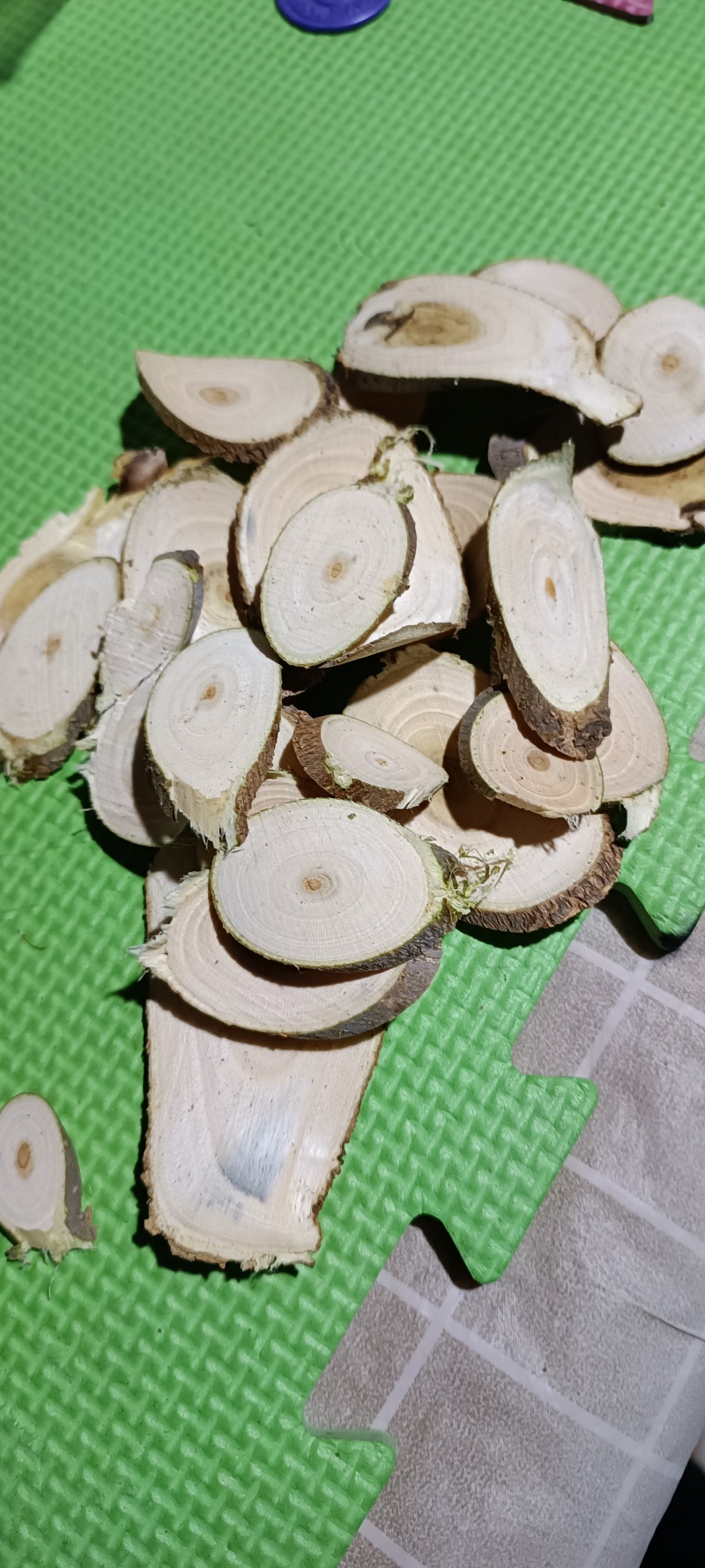 桑枝片