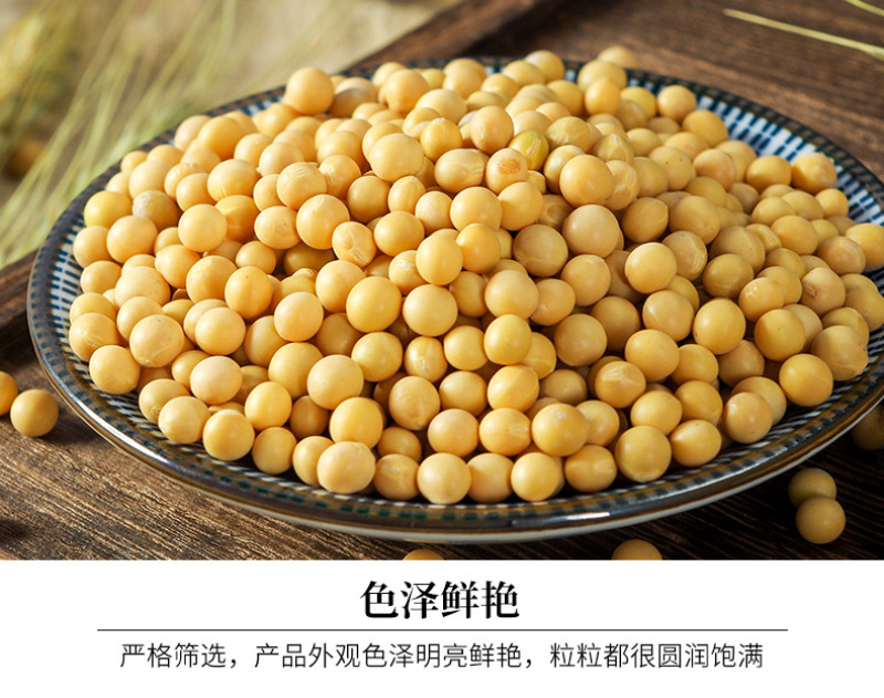 【推荐】黄豆东北红玖大颗粒黄豆量大价优欢迎联系
