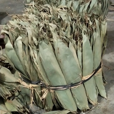 供应野生箬叶