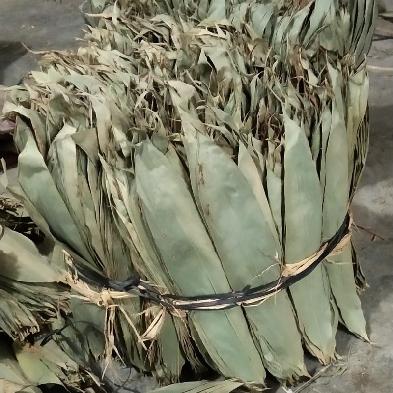 供应野生箬叶