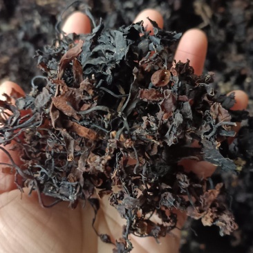 海藻，山东水洗，烘干，足斤足量，支持在线下单