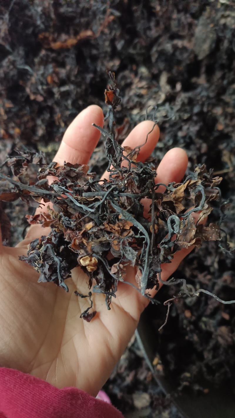 海藻，山东水洗，烘干，足斤足量，支持在线下单