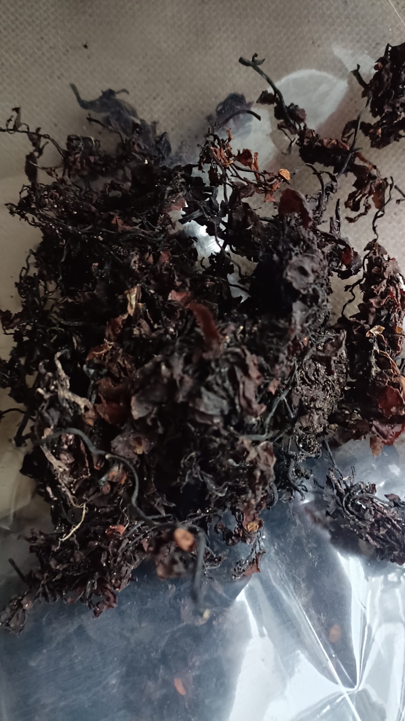 海藻，山东水洗，烘干，足斤足量，支持在线下单