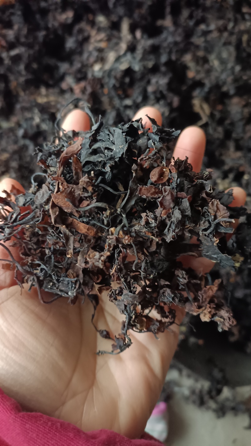 海藻，山东水洗，烘干，足斤足量，支持在线下单