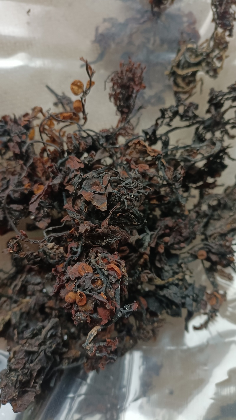 海藻，山东水洗，烘干，足斤足量，支持在线下单