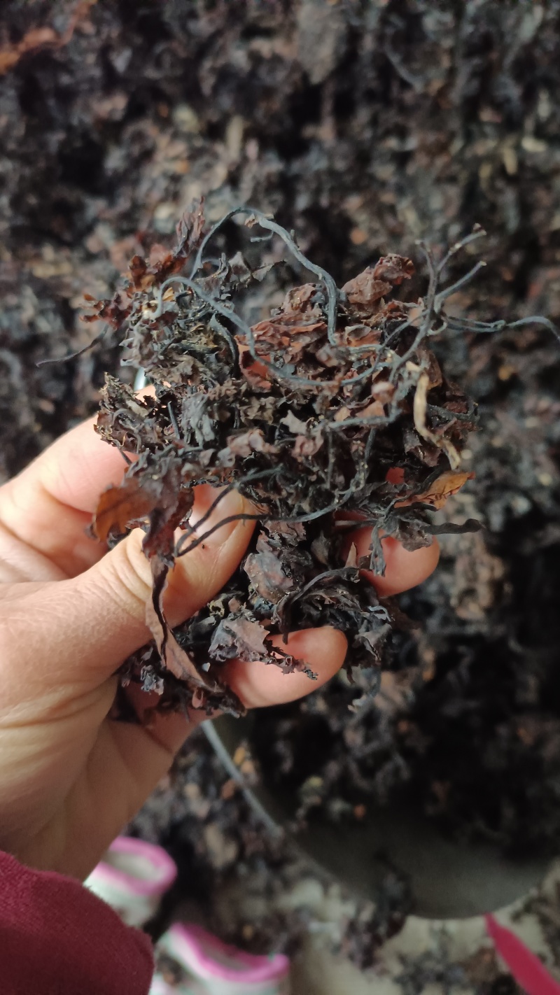 海藻，山东水洗，烘干，足斤足量，支持在线下单