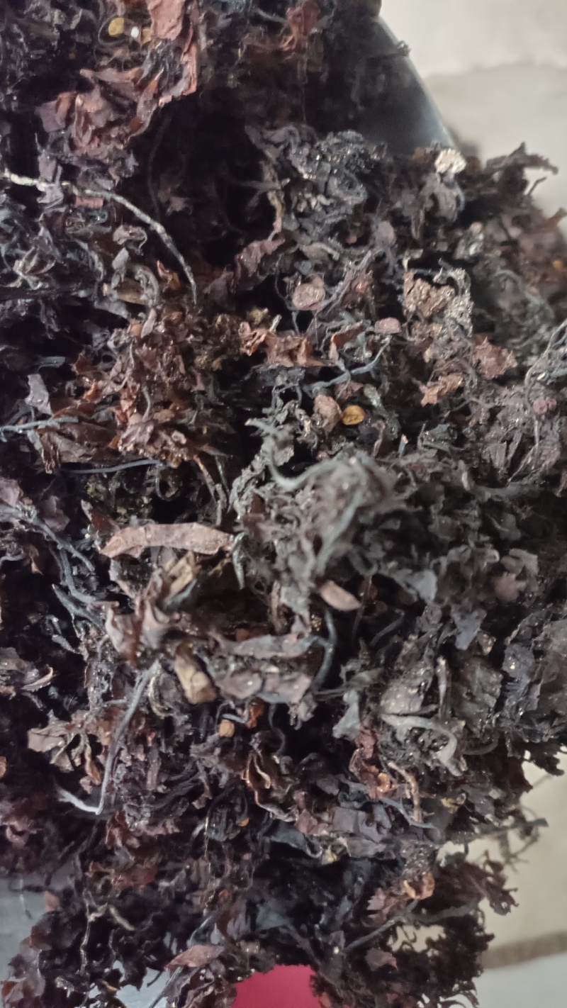 海藻，山东水洗，烘干，足斤足量，支持在线下单