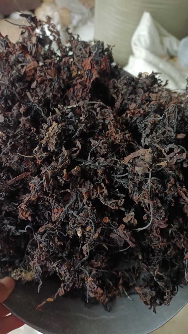 海藻，山东水洗，烘干，足斤足量，支持在线下单