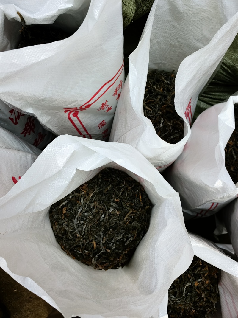 日晒海带丝：淡干横刀丝.干净无沙耐泡发.色正丝厚口感好