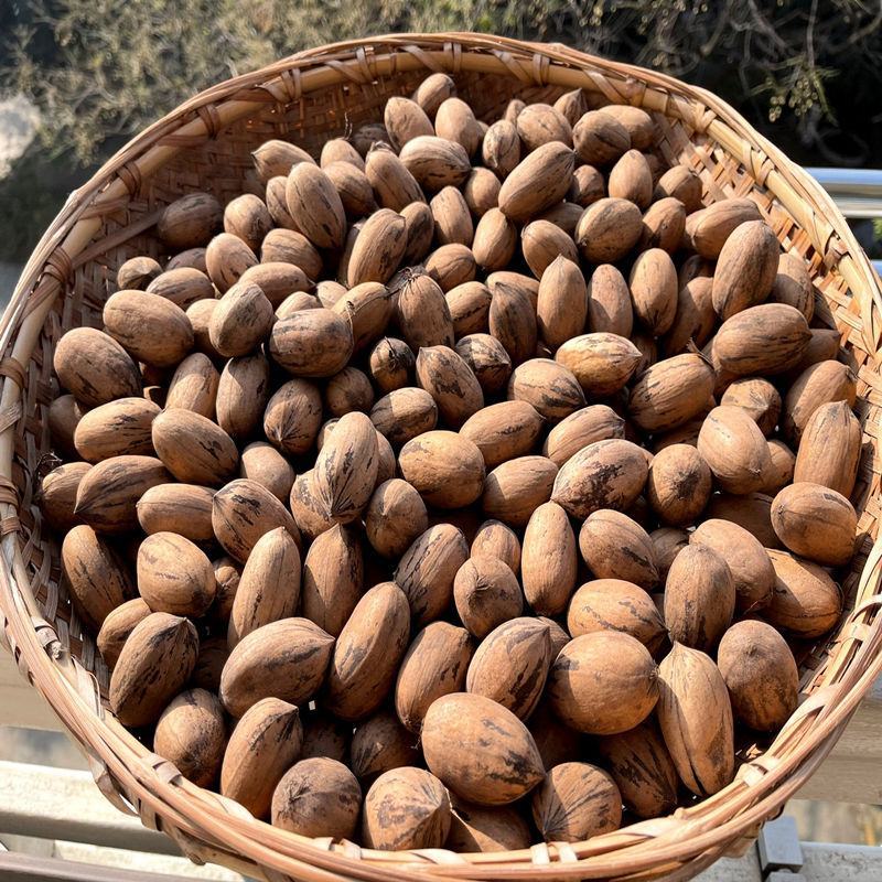 2023新货生碧根果薄壳山核桃长寿果原味孕妇零食碧根果