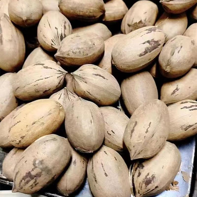 2023新货生碧根果薄壳山核桃长寿果原味孕妇零食碧根果