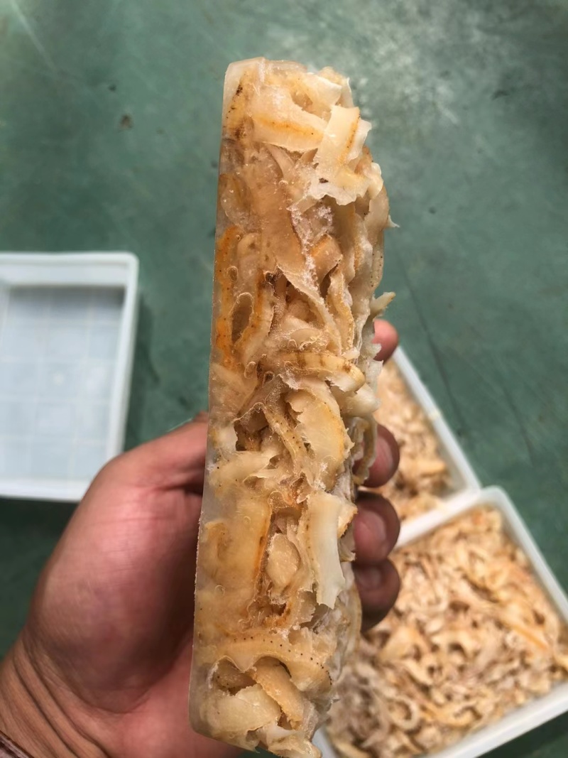 扇贝边扇贝裙带扇贝肉原料食材料捞汁炝拌炒菜火锅