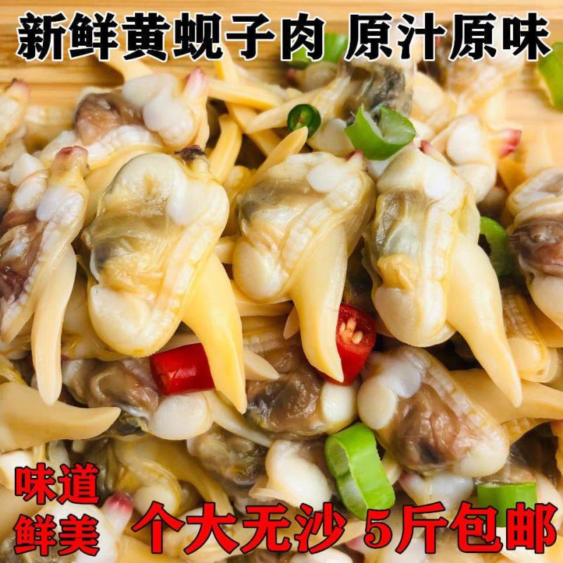 原汁新鲜蚬子肉蛤蜊肉冷冻蚬子即食真空丹东大黄蚬子贝类包邮