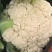 花菜白花菜