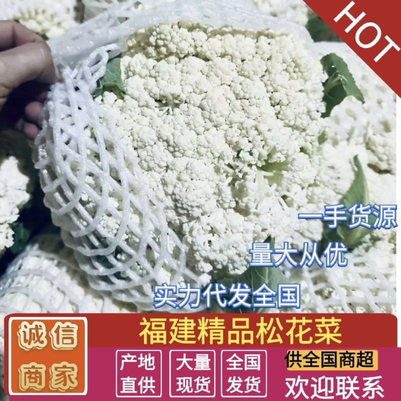 白面青梗松花菜小米散花有机花货源充足实力代发全国