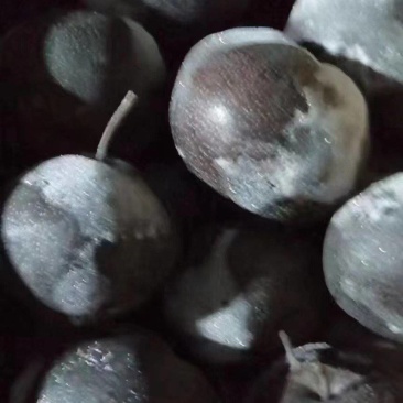 北镇冻苹果梨大量上市，批发全国。质量**。