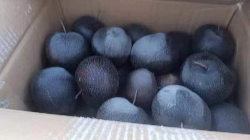 北镇冻苹果梨大量上市，批发全国。质量**。