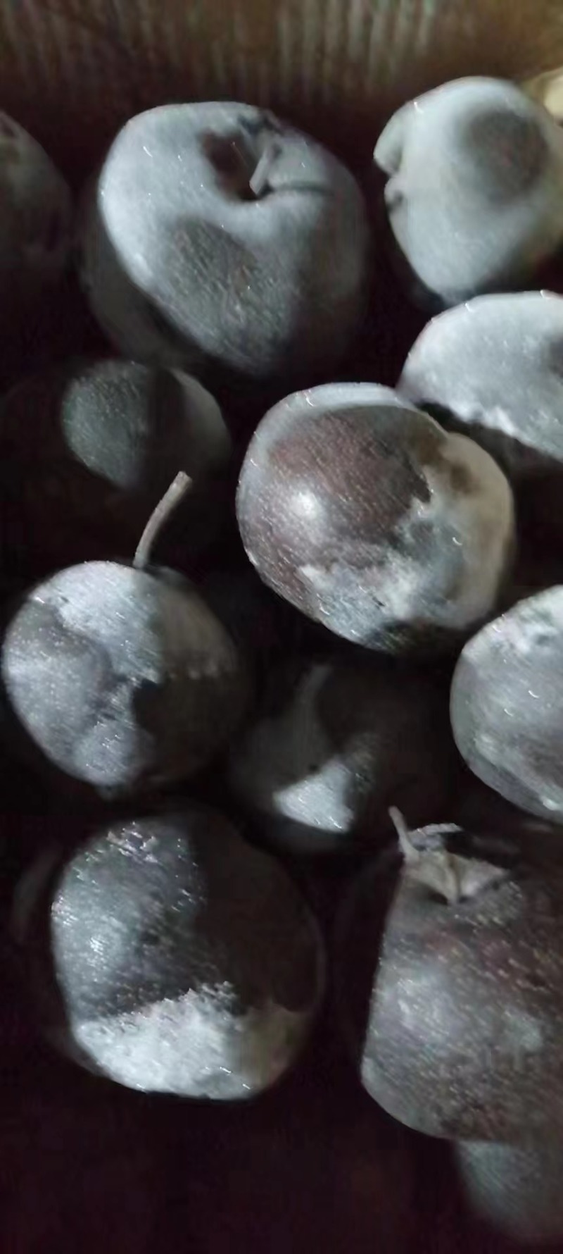 北镇冻苹果梨大量上市，批发全国。质量**。