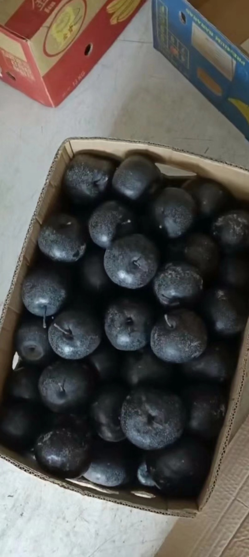 北镇冻苹果梨大量上市，批发全国。质量**。