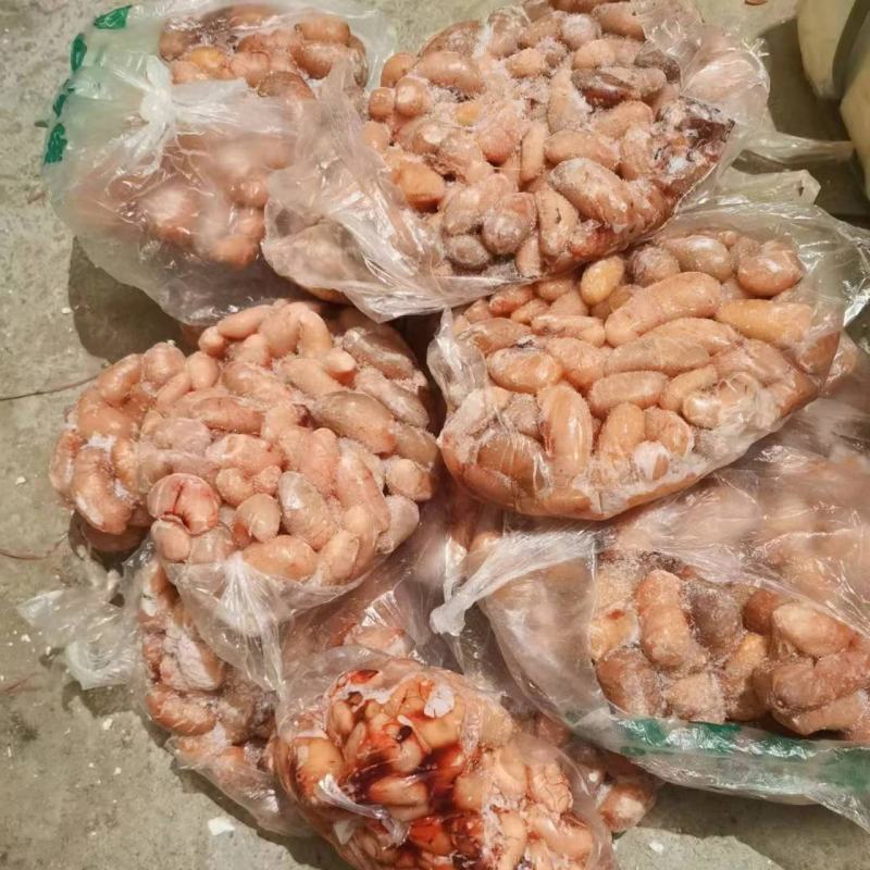 鲜冻带血丝鸡腰子、原装货、颗粒货一手货源批发，量大从优