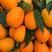 【长虹脐橙】秭归脐橙，中华红血橙，纽荷尔脐橙，产地批发