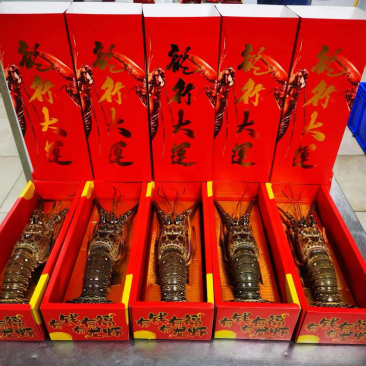 龙虾礼盒🎁送礼佳品2-3斤3-4斤4-5斤5-6