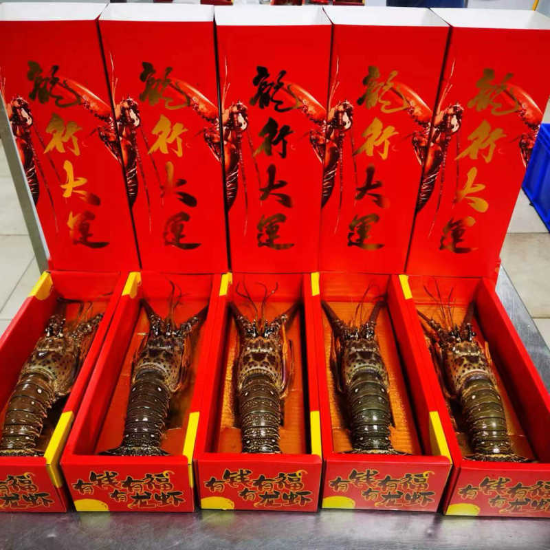 龙虾礼盒🎁送礼佳品2-3斤3-4斤4-5斤5-6