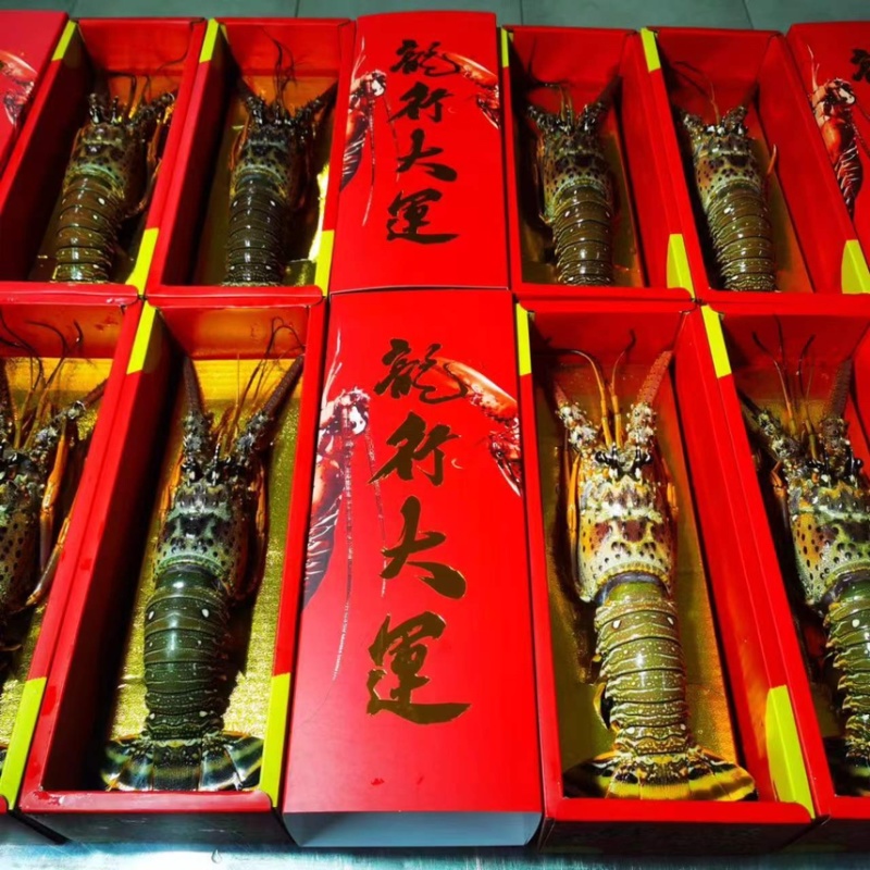 龙虾礼盒🎁送礼佳品2-3斤3-4斤4-5斤5-6