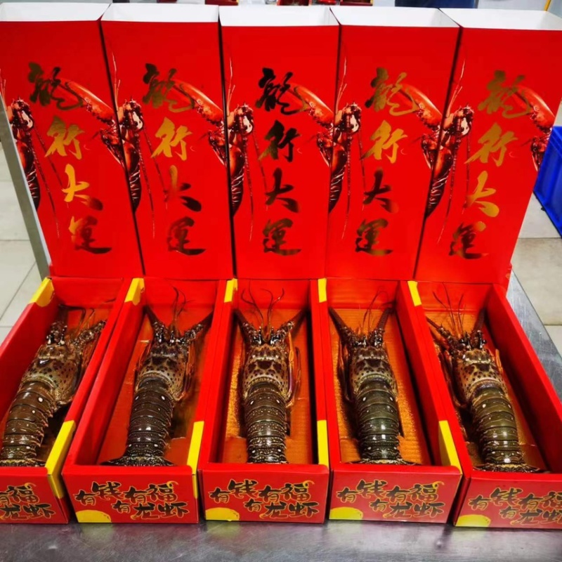 龙虾礼盒🎁送礼佳品2-3斤3-4斤4-5斤5-6